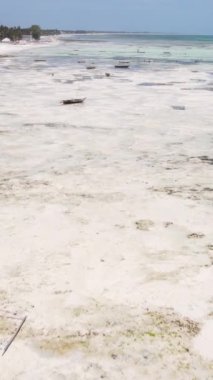 Tanzanya 'nın Zanzibar kıyısındaki okyanusta alçak gelgitin dikey videosu