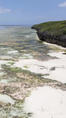 Tanzanya 'nın Zanzibar kıyısındaki okyanusta alçak gelgitin dikey videosu