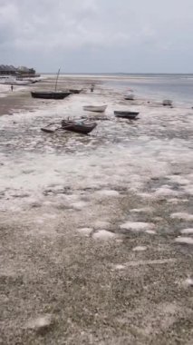 Tanzanya 'nın Zanzibar kıyısındaki okyanusta alçak gelgitin dikey videosu