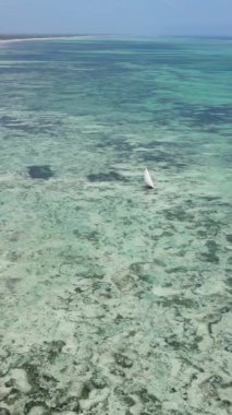 Tanzanya 'nın Zanzibar kıyısındaki okyanusta alçak gelgitin dikey videosu