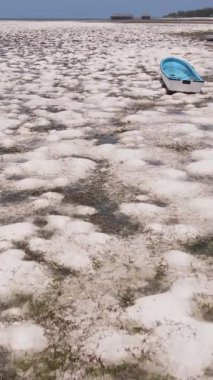 Tanzanya 'nın Zanzibar kıyısındaki okyanusta alçak gelgitin dikey videosu