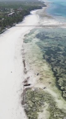 Tanzanya 'nın Zanzibar kıyısındaki okyanusta alçak gelgitin dikey videosu
