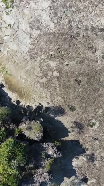 Vídeo vertical da maré baixa no oceano perto da costa de Zanzibar, na Tanzânia — Vídeo de Stock