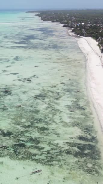 Vertical video of low tide in the ocean near the coast of Zanzibar, Tanzania — стокове відео