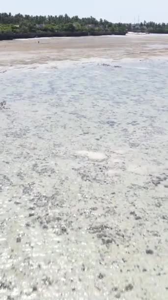 Вертикальное видео отлива в океане у берегов Занзибара, Танзания — стоковое видео