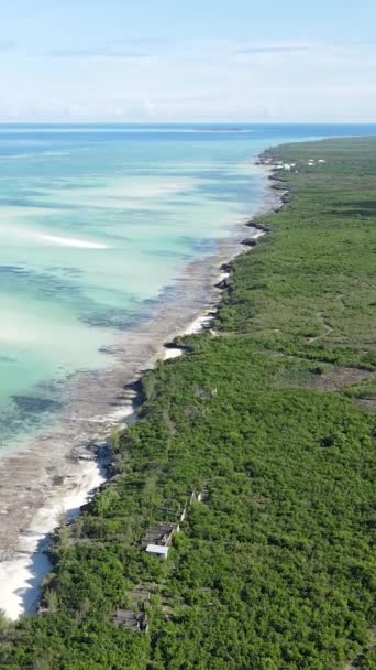 Vídeo vertical de la marea baja en el océano cerca de la costa de Zanzíbar, Tanzania — Vídeo de stock