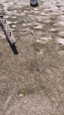 Tanzanya 'nın Zanzibar kıyısındaki okyanusta alçak gelgitin dikey videosu