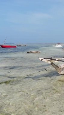 Tanzanya 'nın Zanzibar kıyısındaki okyanusta alçak gelgitin dikey videosu