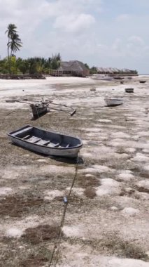 Tanzanya 'nın Zanzibar kıyısındaki okyanusta alçak gelgitin dikey videosu