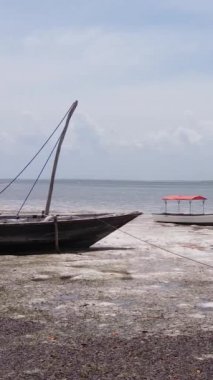 Tanzanya 'nın Zanzibar kıyısındaki okyanusta alçak gelgitin dikey videosu