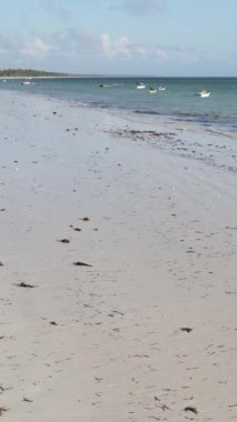 Tanzanya 'nın Zanzibar kıyısındaki okyanusta alçak gelgitin dikey videosu