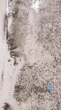 Tanzanya 'nın Zanzibar kıyısındaki okyanusta alçak gelgitin dikey videosu