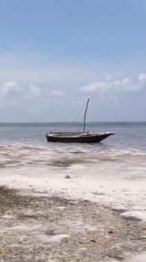 Tanzanya 'nın Zanzibar kıyısındaki okyanusta alçak gelgitin dikey videosu