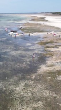 Tanzanya 'nın Zanzibar kıyısındaki okyanusta alçak gelgitin dikey videosu