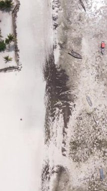 Tanzanya 'nın Zanzibar kıyısındaki okyanusta alçak gelgitin dikey videosu