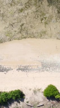Tanzanya 'nın Zanzibar kıyısındaki okyanusta alçak gelgitin dikey videosu