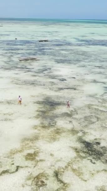 Pionowe wideo odpływu w oceanie u wybrzeży Zanzibaru w Tanzanii — Wideo stockowe