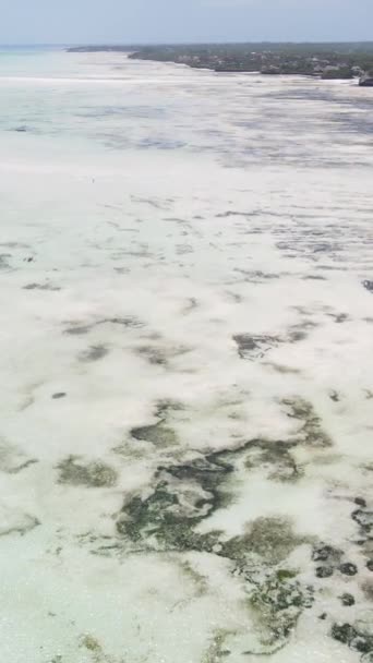 Vídeo vertical de la marea baja en el océano cerca de la costa de Zanzíbar, Tanzania — Vídeos de Stock