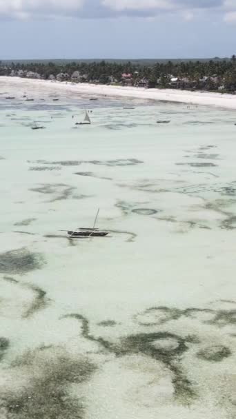 タンザニアのザンジバル海岸近くの海での干潮の垂直ビデオ — ストック動画