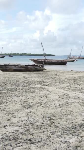 Tanzanya 'nın Zanzibar kıyısındaki okyanusta alçak gelgitin dikey videosu — Stok video