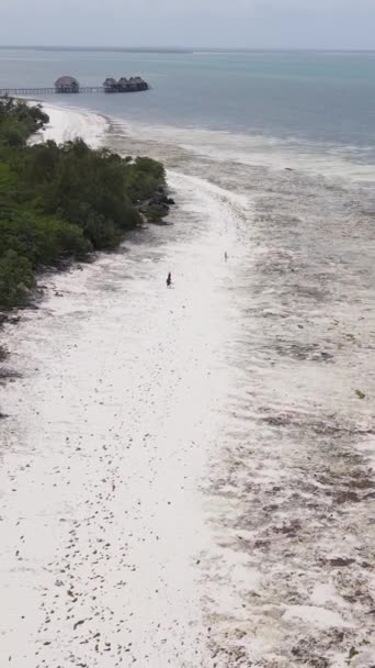 Vídeo vertical de la marea baja en el océano cerca de la costa de Zanzíbar, Tanzania — Vídeo de stock
