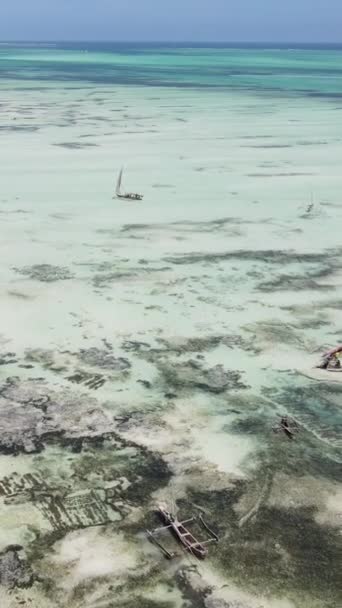 Vídeo vertical de la marea baja en el océano cerca de la costa de Zanzíbar, Tanzania — Vídeos de Stock