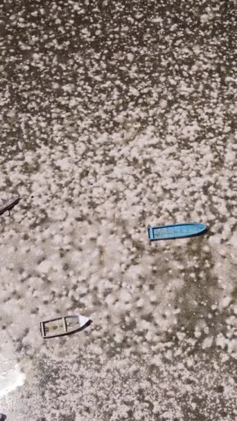 Vertical video of low tide in the ocean near the coast of Zanzibar, Tanzania — Stock Video