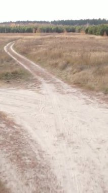 Dikey video boş bir alanda toprak bir yol