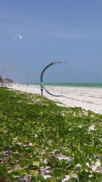Vertical video kitesurfing near the shore of Zanzibar, Tanzania — Stock Video