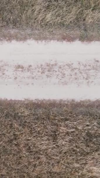 Vertical video a dirt road through an empty field — Stock Video