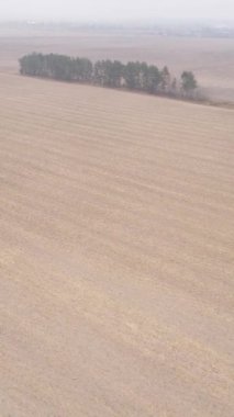 Sonbaharda dikey boş tarla görüntüsü, hava görüntüsü