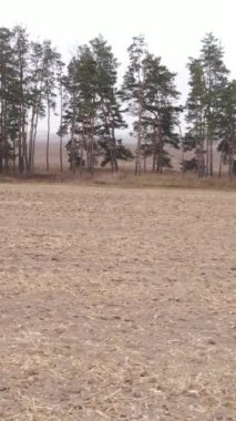 Sonbaharda dikey boş tarla görüntüsü, hava görüntüsü