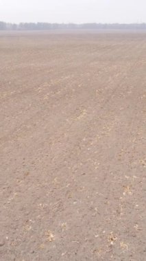 Sonbaharda dikey boş tarla görüntüsü, hava görüntüsü