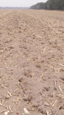 Sonbaharda dikey boş tarla görüntüsü, hava görüntüsü