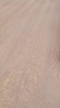 Sonbaharda dikey boş tarla görüntüsü, hava görüntüsü