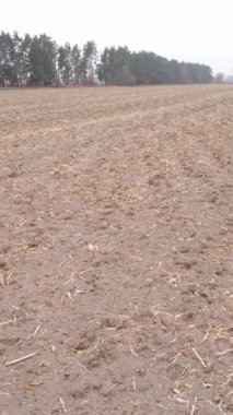 Sonbaharda dikey boş tarla görüntüsü, hava görüntüsü