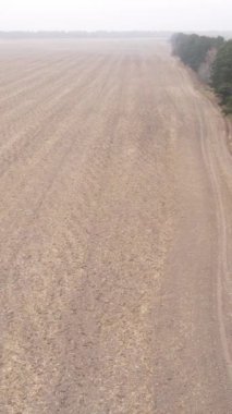 Sonbaharda dikey boş tarla görüntüsü, hava görüntüsü