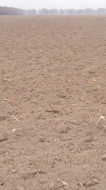 Sonbaharda dikey boş tarla görüntüsü, hava görüntüsü