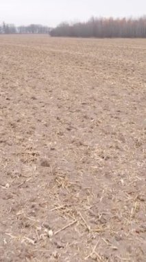 Sonbaharda dikey boş tarla görüntüsü, hava görüntüsü