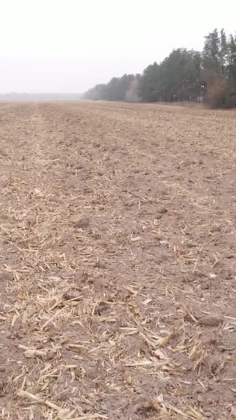 Vídeo vertical campo arado vacío en otoño, vista aérea — Vídeo de stock