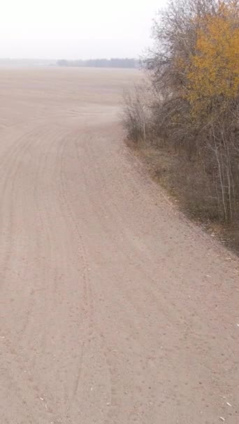 Вертикальное видео пустое вспаханное поле осенью, вид с воздуха — стоковое видео