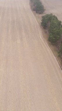 Sonbaharda dikey boş tarla görüntüsü, hava görüntüsü