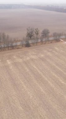 Sonbaharda dikey boş tarla görüntüsü, hava görüntüsü