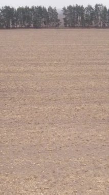 Sonbaharda dikey boş tarla görüntüsü, hava görüntüsü