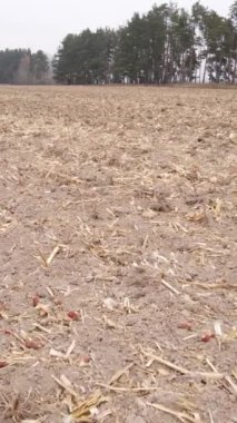 Sonbaharda dikey boş tarla görüntüsü, hava görüntüsü