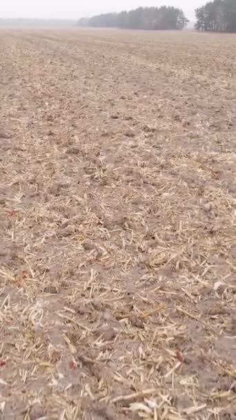 Vídeo vertical campo arado vacío en otoño, vista aérea — Vídeos de Stock
