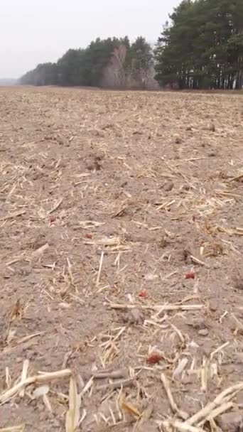 Vídeo vertical campo arado vazio no outono, vista aérea — Vídeo de Stock