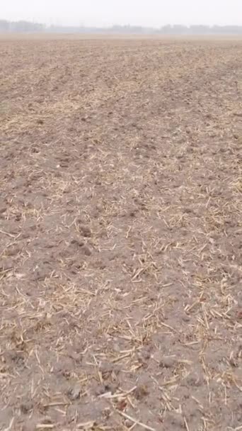 Vídeo vertical campo arado vacío en otoño, vista aérea — Vídeos de Stock