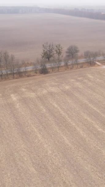 Vídeo vertical campo arado vazio no outono, vista aérea — Vídeo de Stock