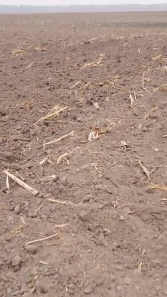 Vidéo verticale champ labouré vide en automne, vue aérienne — Video